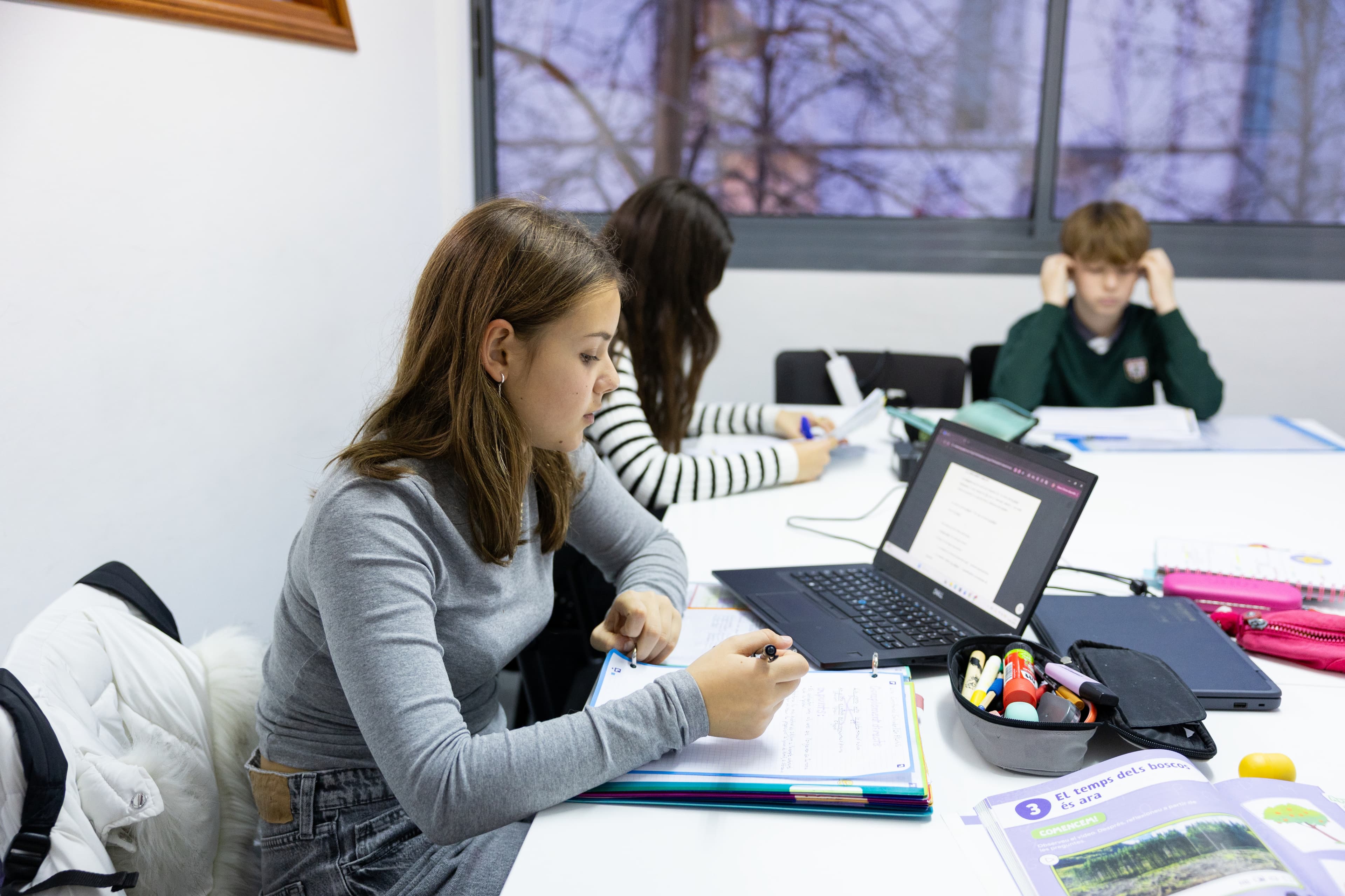 classes d'ESO